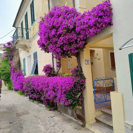 La Casa Dei Nonni شقة